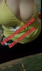 Şirinevler Escort 